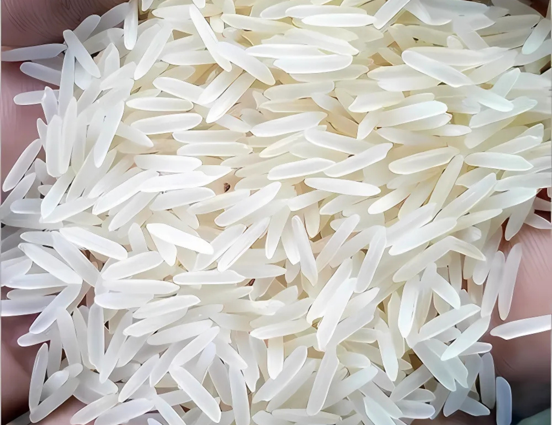 Basmati Rice - Sirra