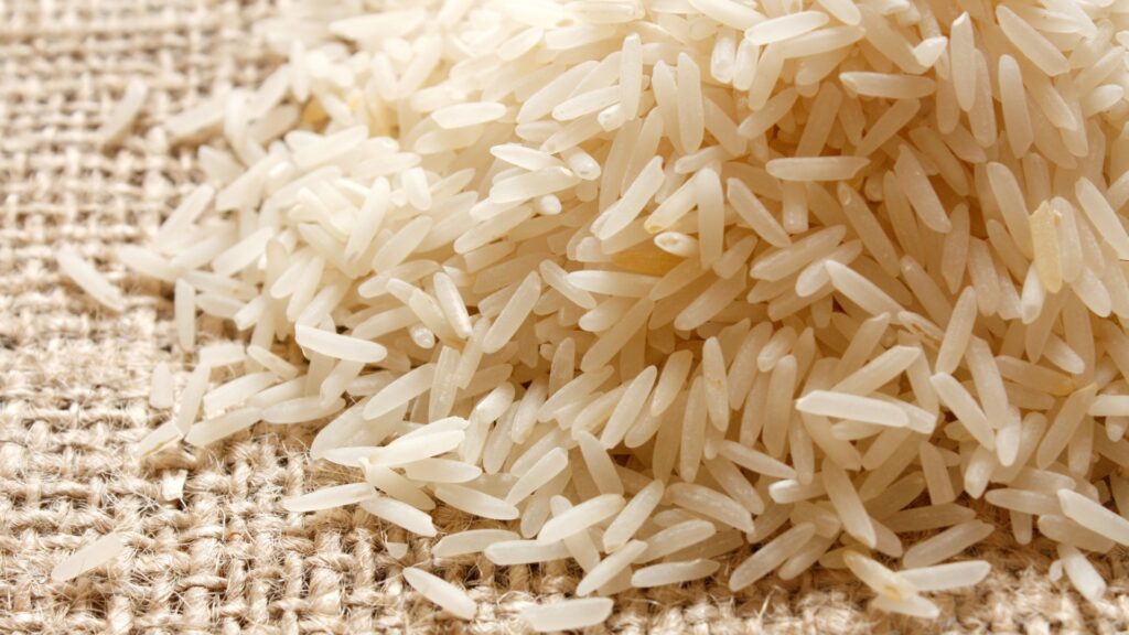 buy 1509 Basmati rice for import