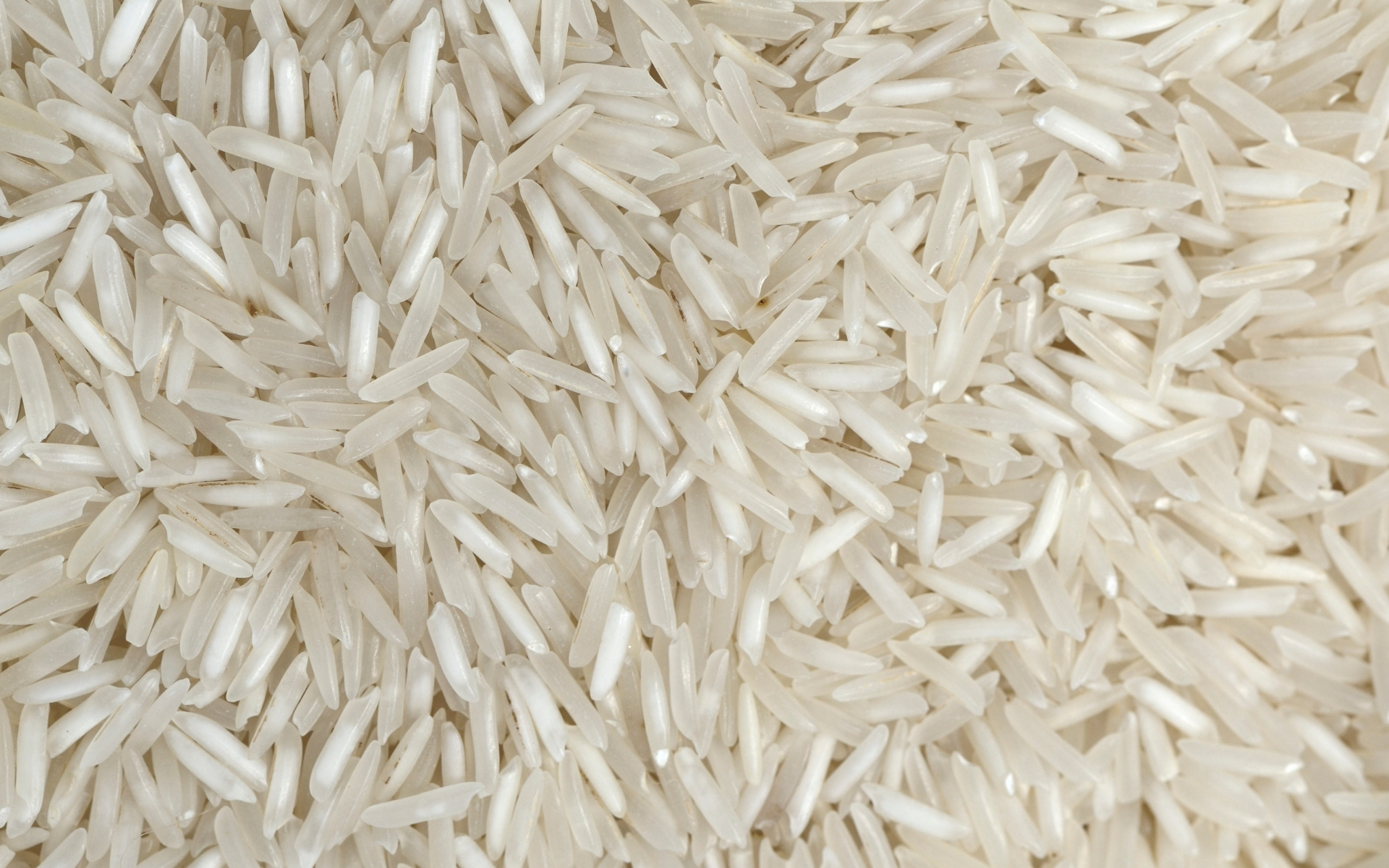 Sirra Has the Best Sugandha Sella Rice Available - Sirra