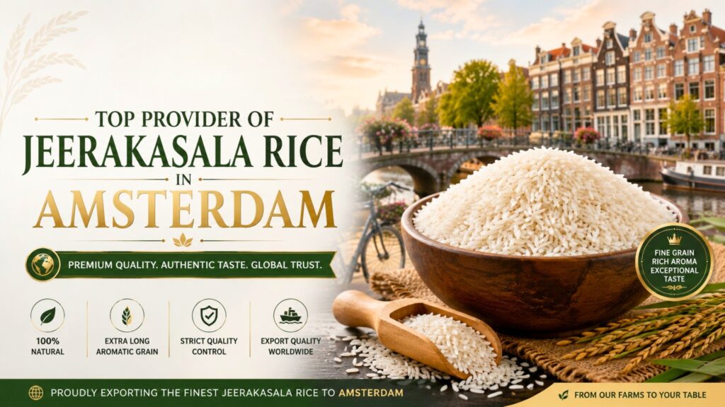 Top Provider of Jeerakasala Rice in Amsterdam