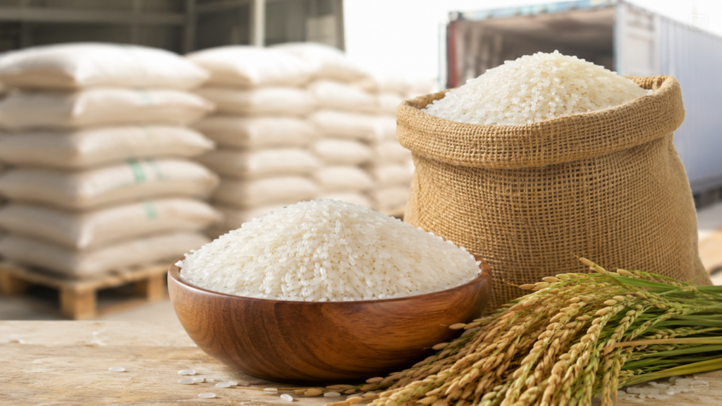 Sona Masoori Rice Supplier